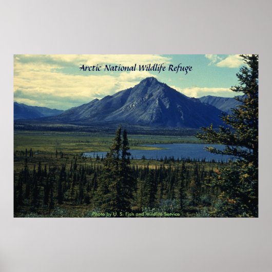 Poster / Arktische Nationale Schutzhütte (Vorne)