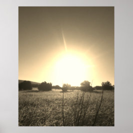 POSTER ART AND DESIGIGN STYLES