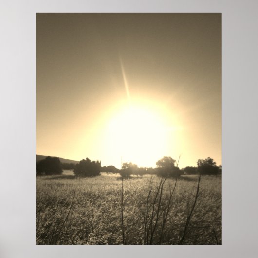 POSTER ART AND DESIGIGN STYLES (Vorne)