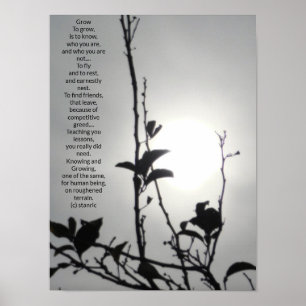 POSTER ART AND DESIGIGN STYLES