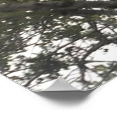 POSTER ART AND DESIGIGN STYLES (Ecke)