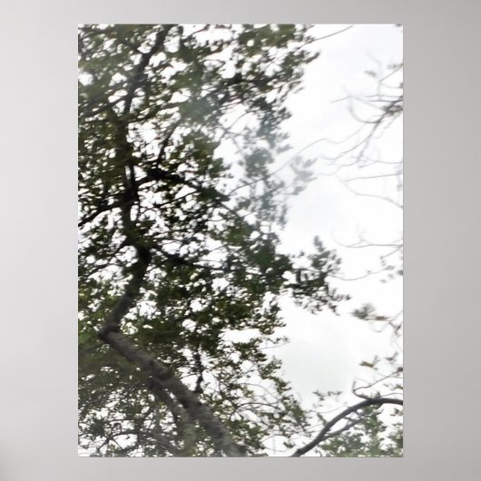 POSTER ART AND DESIGIGN STYLES (Vorne)