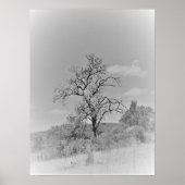 POSTER ART AND DESIGIGN STYLES (Vorne)