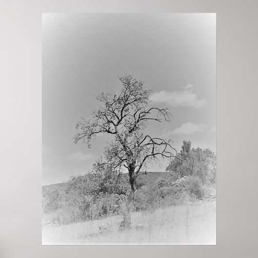 POSTER ART AND DESIGIGN STYLES (Vorne)