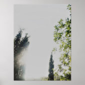 POSTER ART AND DESIGIGN STYLES (Vorne)