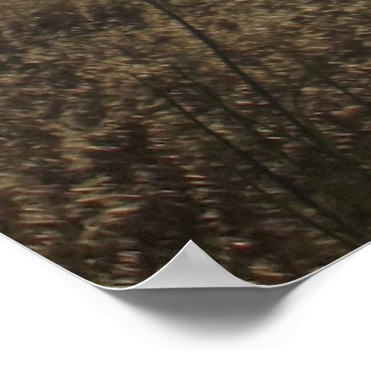 POSTER ART AND DESIGIGN STYLES (Ecke)