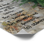 POSTER ART AND DESIGIGN STYLES (Ecke)