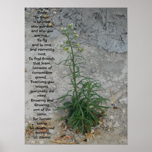 POSTER ART AND DESIGIGN STYLES (Vorne)