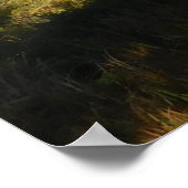 POSTER ART AND DESIGIGN STYLES (Ecke)