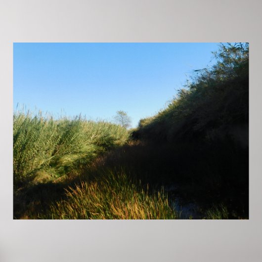 POSTER ART AND DESIGIGN STYLES (Vorne)