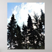 POSTER ART AND DESIGIGN STYLES (Vorne)