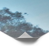 POSTER ART AND DESIGIGN STYLES (Ecke)