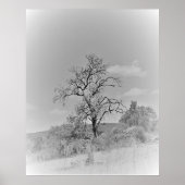 POSTER ART AND DESIGIGN STYLES (Vorne)