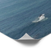 POSTER ART AND DESIGIGN STYLES (Ecke)