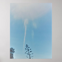 POSTER ART AND DESIGIGN STYLES