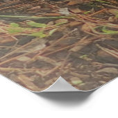 POSTER ART AND DESIGIGN STYLES (Ecke)