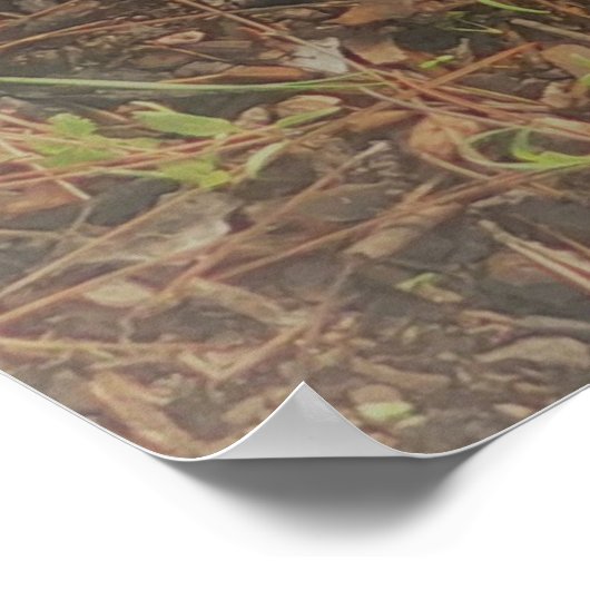 POSTER ART AND DESIGIGN STYLES (Ecke)