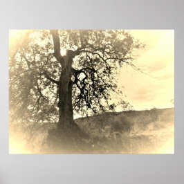 POSTER ART AND DESIGIGN STYLES