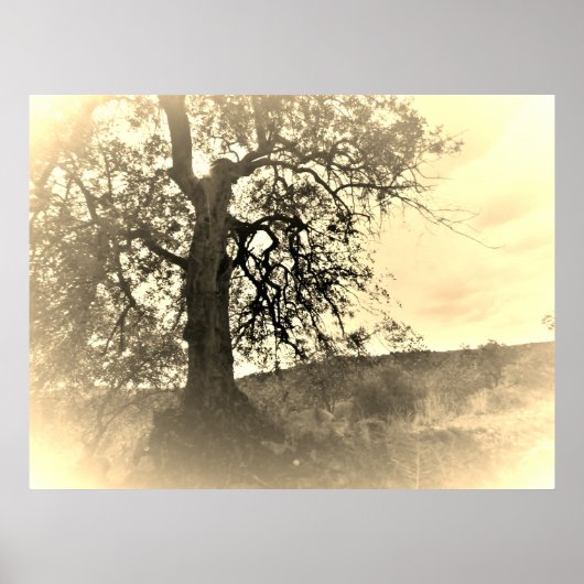 POSTER ART AND DESIGIGN STYLES (Vorne)