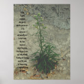 POSTER ART AND DESIGIGN STYLES (Vorne)