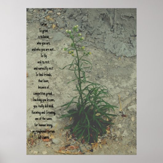 POSTER ART AND DESIGIGN STYLES (Vorne)