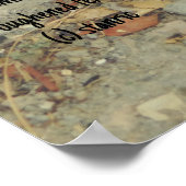 POSTER ART AND DESIGIGN STYLES (Ecke)