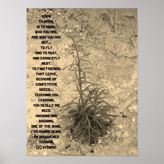 POSTER ART AND DESIGN STIL (Vorne)