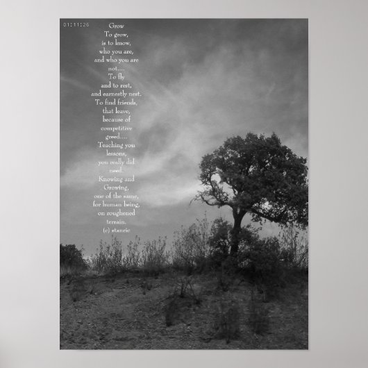 POSTER ART AND DESIGN STYLE  (Vorne)