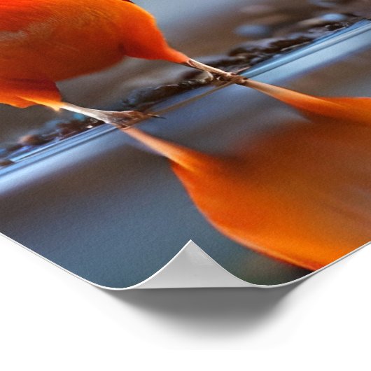 Poster Art Birds (Ecke)