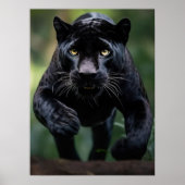 Poster Art Black Leopard (Vorne)