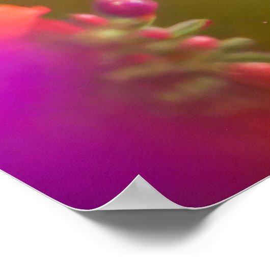 Poster Art Hummingbird (Ecke)