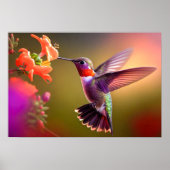 Poster Art Hummingbird (Vorne)