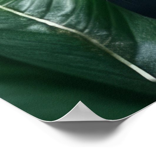 Poster Art Leopard (Ecke)