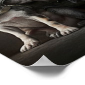 Poster Art Military Hunde (Ecke)