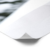 Poster Art Mountain Lion (Ecke)