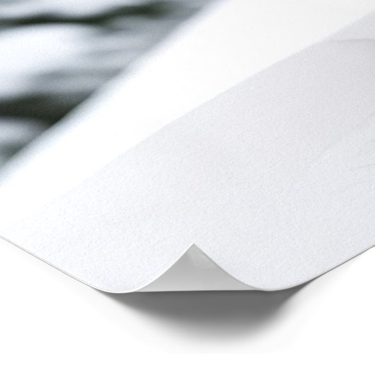 Poster Art Mountain Lion (Ecke)