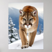 Poster Art Mountain Lion (Vorne)