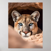Poster Art Mountain Lion (Vorne)