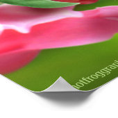 Poster Art niedlich Ladybug und Snap Dragons (Ecke)