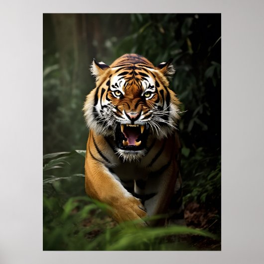 Poster Art Tiger (Vorne)