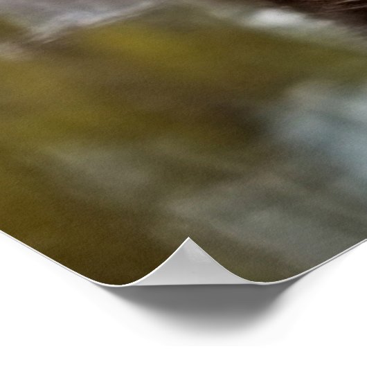 Poster Art Tiger Cub (Ecke)