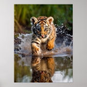 Poster Art Tiger Cub (Vorne)