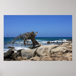 Poster-Aruba Poster