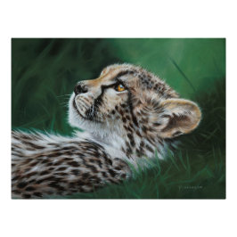Poster Baby Cheetah