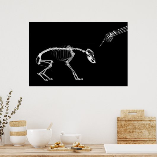 Poster - Bad Dog Xray Skeleton Schwarz-weiß (Küche)