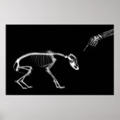Poster - Bad Dog Xray Skeleton Schwarz-weiß (Vorne)