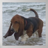 Poster Basset Hound am Meer (Vorne)