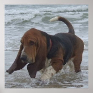 Poster Basset Hound am Meer