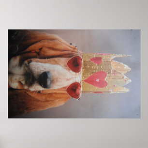 Poster Basset Hound König