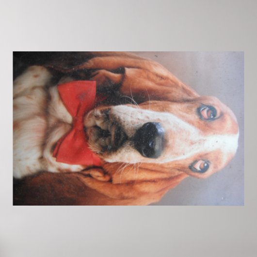 Poster Basset Hound mit Red Bow Krawatte (Vorne)